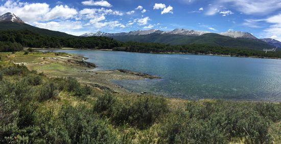 BAHIA LAPATAIA - PARQUE NACIONAL TIERRA DEL FUEGO - FINAL RUTA Nº 3. - USUAIA - ARGENTINA