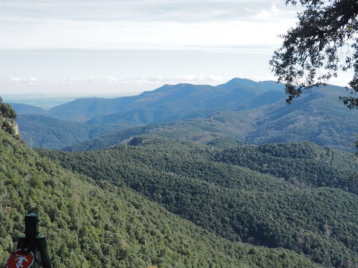 BOSCOS DE LA GARROTXA