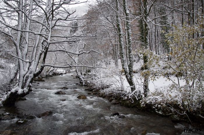 Precioso invierno