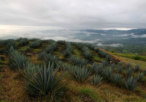 Paisajes