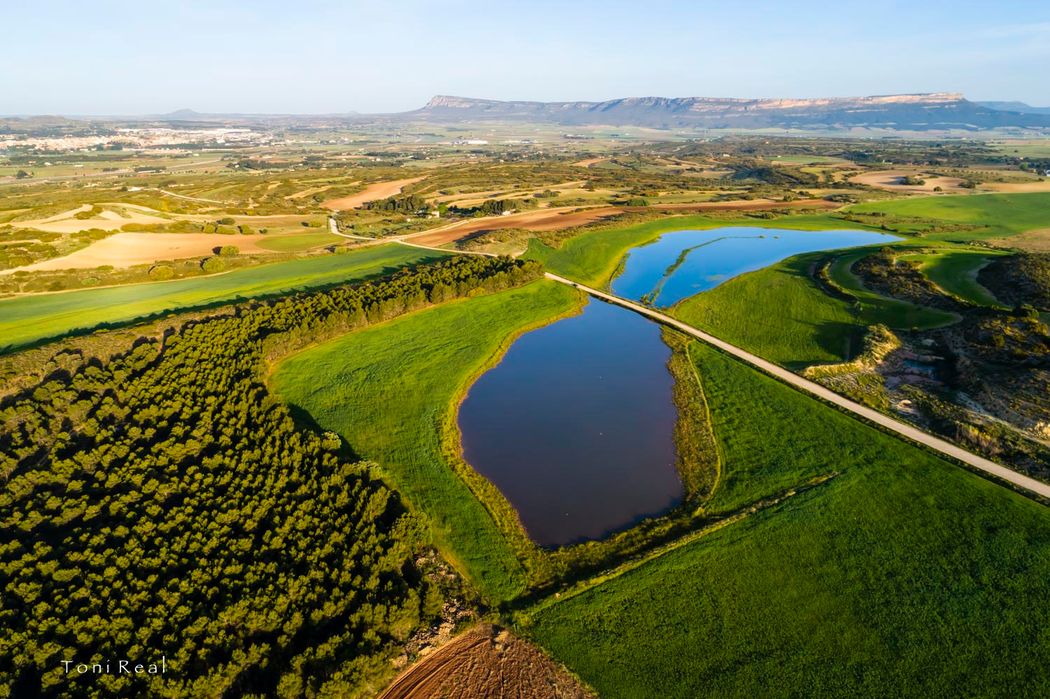 Laguna de Sugel, El Mugrón y Almansa.