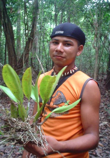 Río Negro, Brasil, 2005