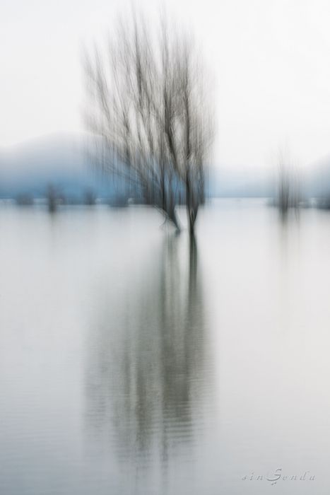 Haiku primordial [Verso blanco, verso negro, verso azul] · ©Juan Romero Agud · sinSenda