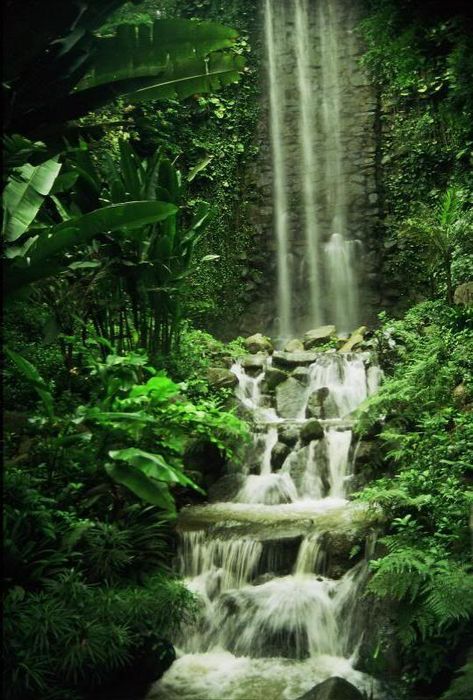 Parque natural Singapur