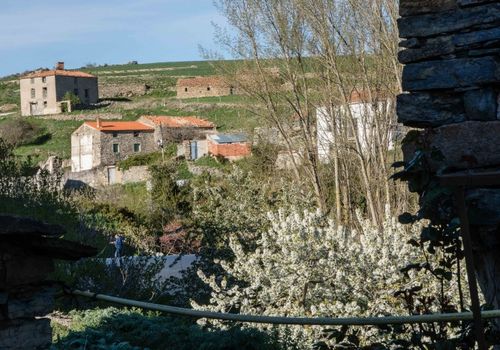 Cerbón