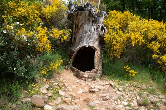 Las Médulas