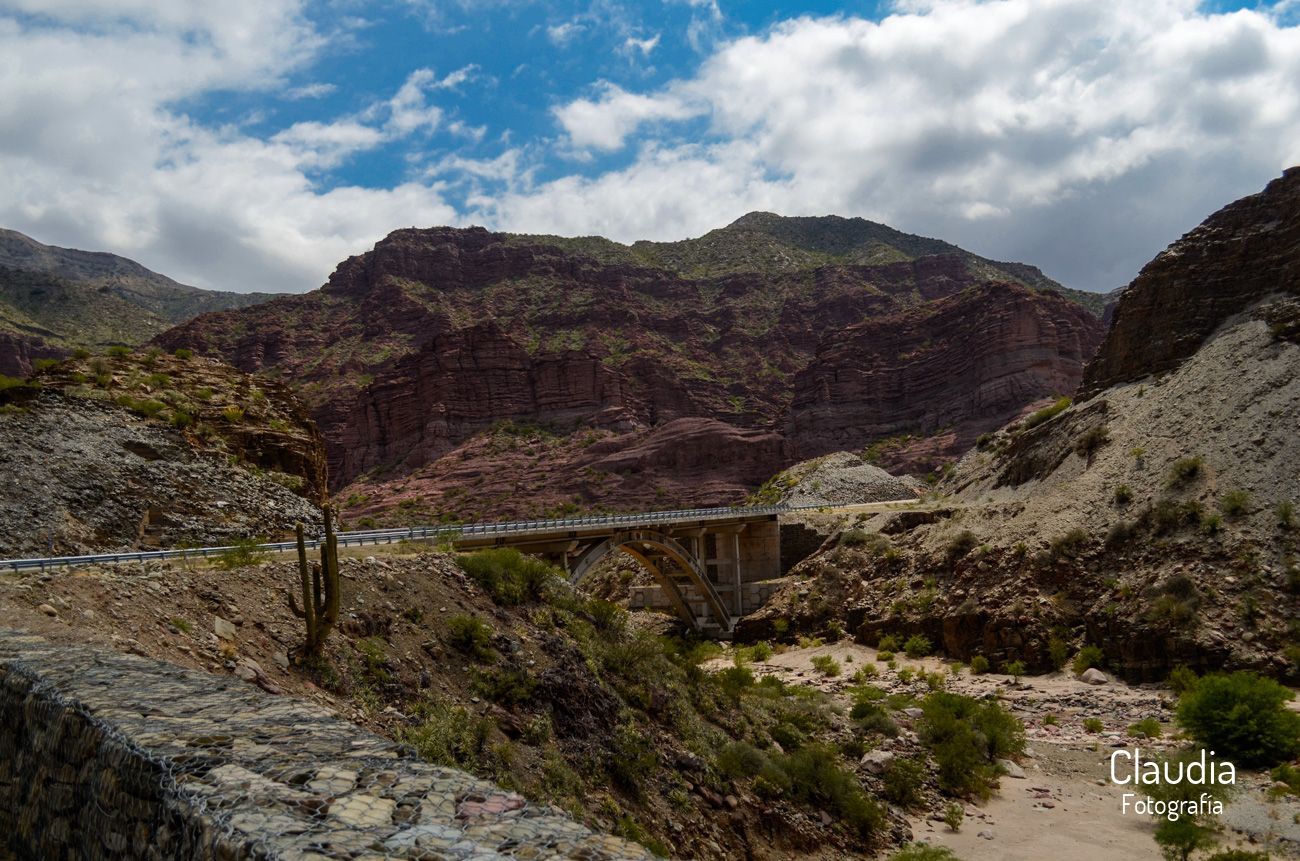 RN150 km131 del Valle Fértil a la ciudad de San Juan.   Provincia de San Juan, Argentina. (2019) 