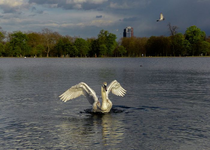 Kensington Gardens.    Londres,  Inglaterra