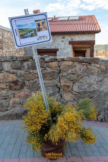 Decoración San Martín de la Vega foto 1