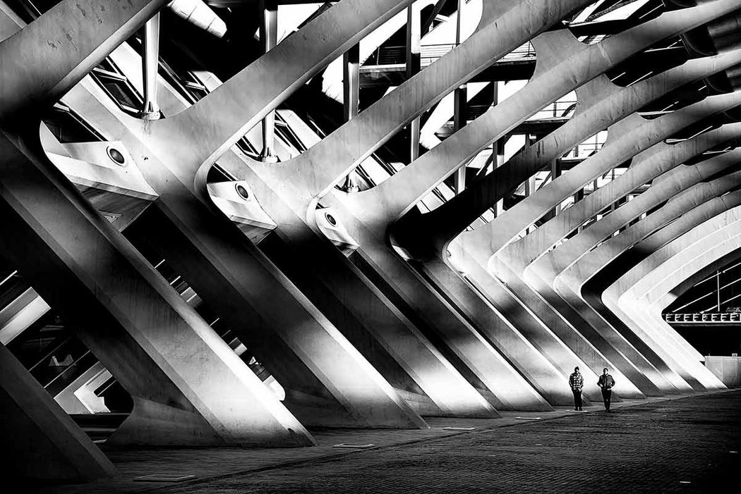 minimalistic picture in city of arts in valencia city