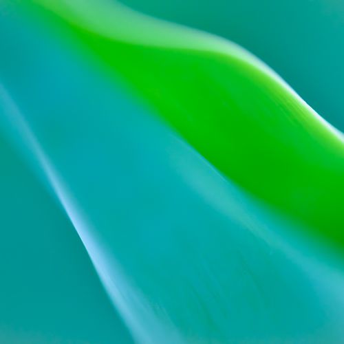 COLOR