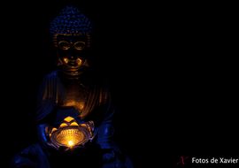 Buda