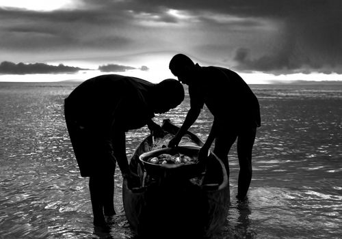 Ginés Castillo. La isla olvidada