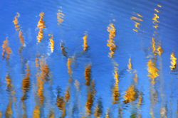 Reflexoterapia