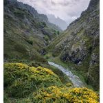 valle con rio y altas montañas al fondo