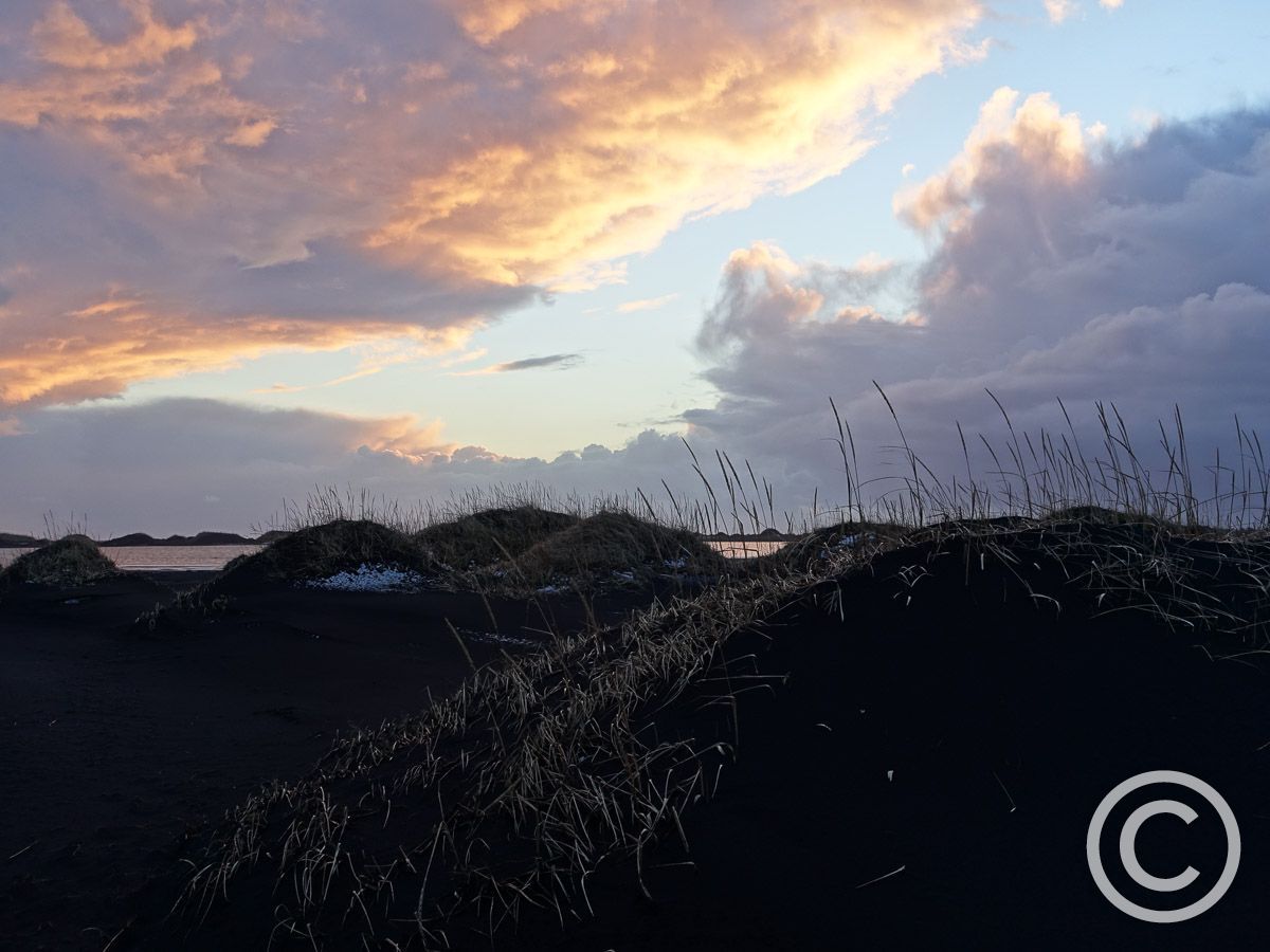  Islandia-playa de lava negra