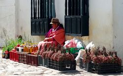Colombia mágica