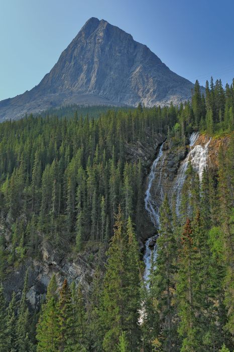Grassi falls