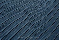 Beach. Hvitserkur, Iceland