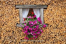 Firewood. Mazzin, Dolomiti, Alps, Italy