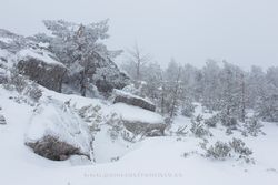Piqueras Port, Sierra de Cebollera Natural Park, La Rioja (Spain)