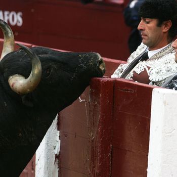 toros