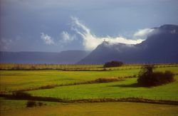 reportaje: Orduña (Bizkaia) - título: El bollo