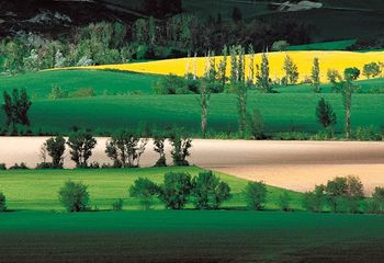 porfolio: "geometrías"  título: "Colores de Navarra"