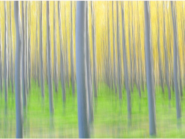 impressionisms 
