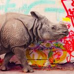 The Last Rhino  