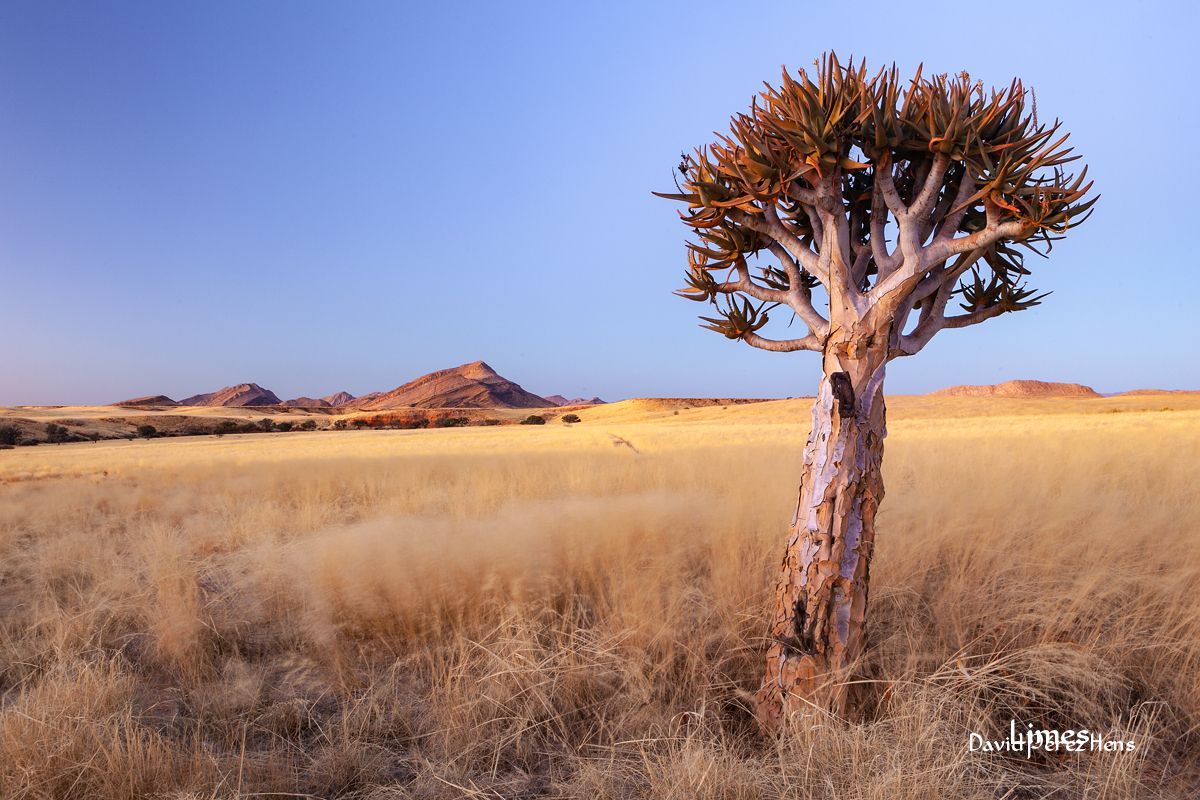 Namibia