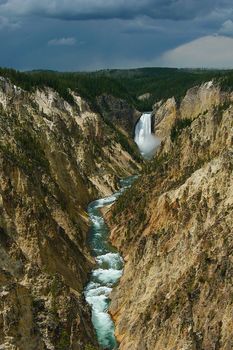Yellowstone