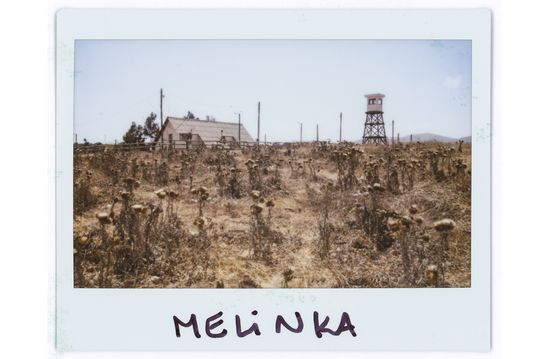 Melinka Puchuncaví