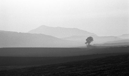 Navarra