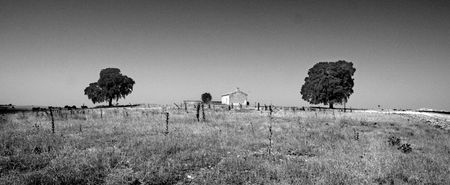 Daimiel. Ciudad Real
