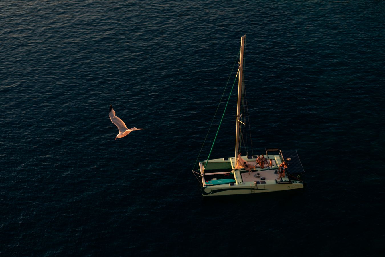 Sailing