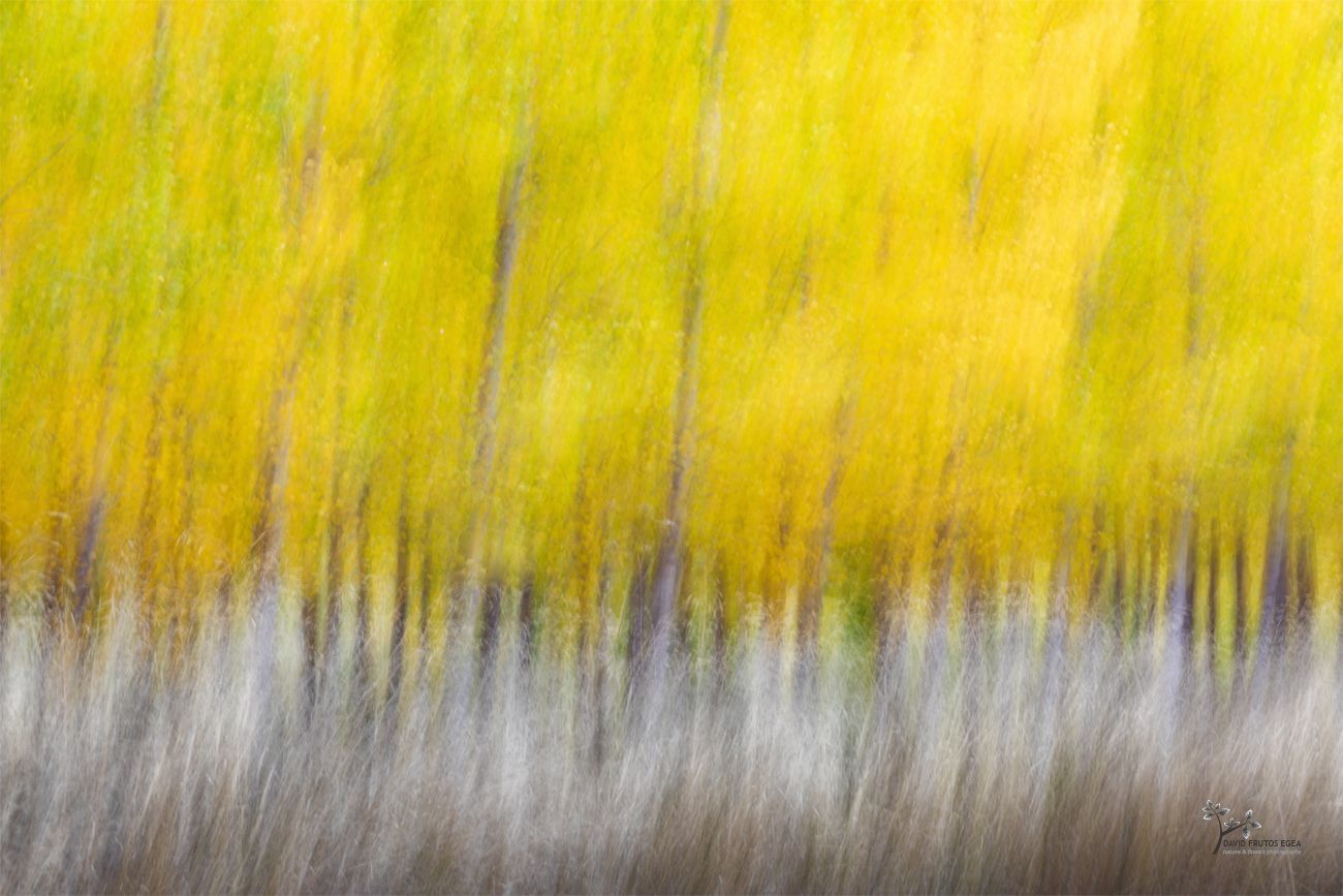 Autumnal Games