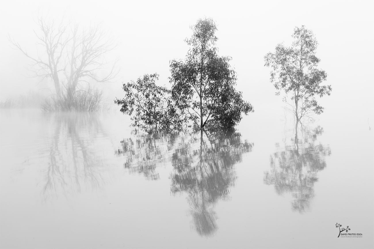 Three Souls