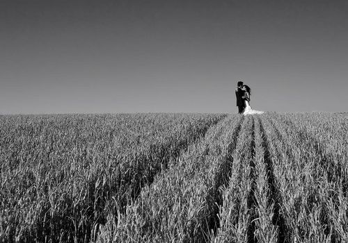 Bodas