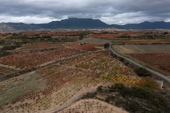 Rioja Alavesa