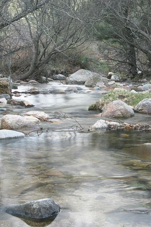 LOS CHORROS DEL MANZANARES     26 de Julio de 2014