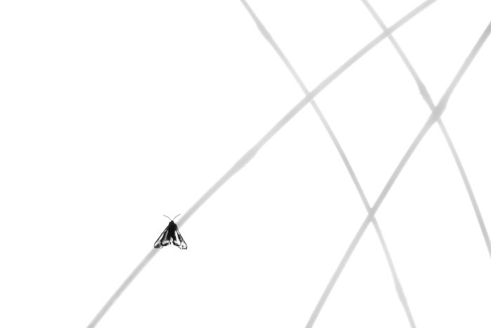 Trapped in my barriers