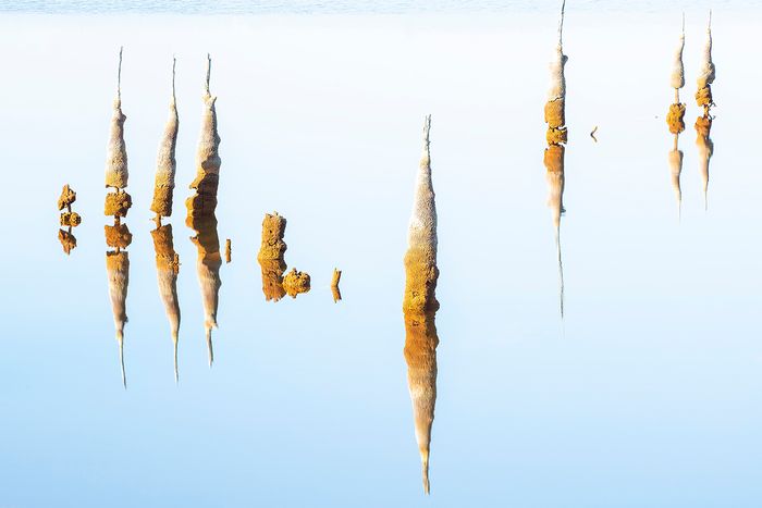 Mud reflections