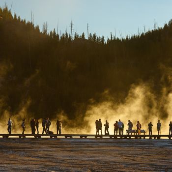 landscape, USA, united states, fall, yellowstone national park