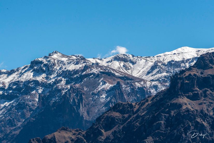 DSC_0543 cañon de Colca, condor andino.jpg
