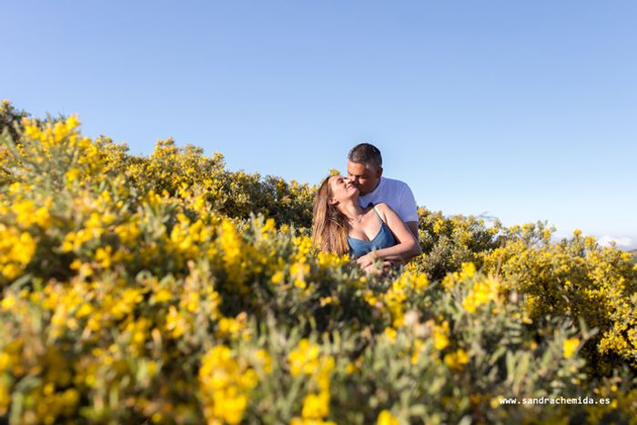 Sesión de fotos de novios paseando en el campo