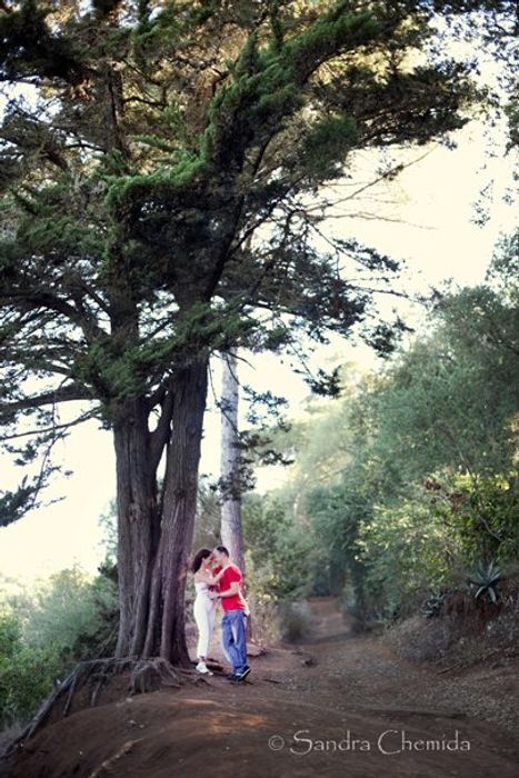 Pareja de novios abrazados debajo de un arbol