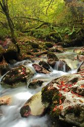 Rincones otoñales