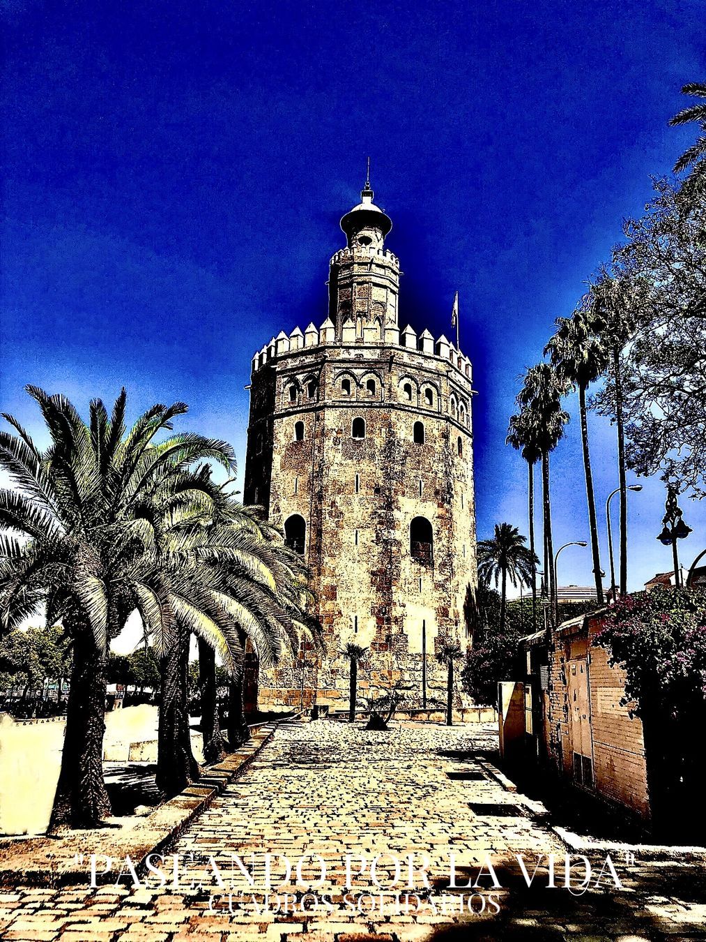 SEVILLA 120