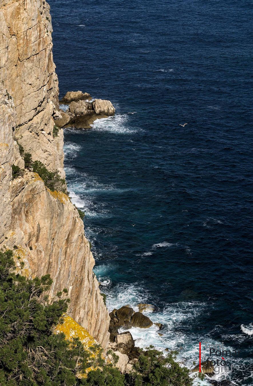 Punta de sa Torre